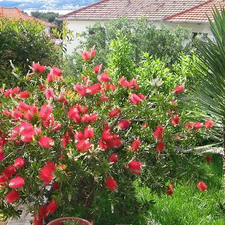 Apartments By The Sea Trogir - 8683